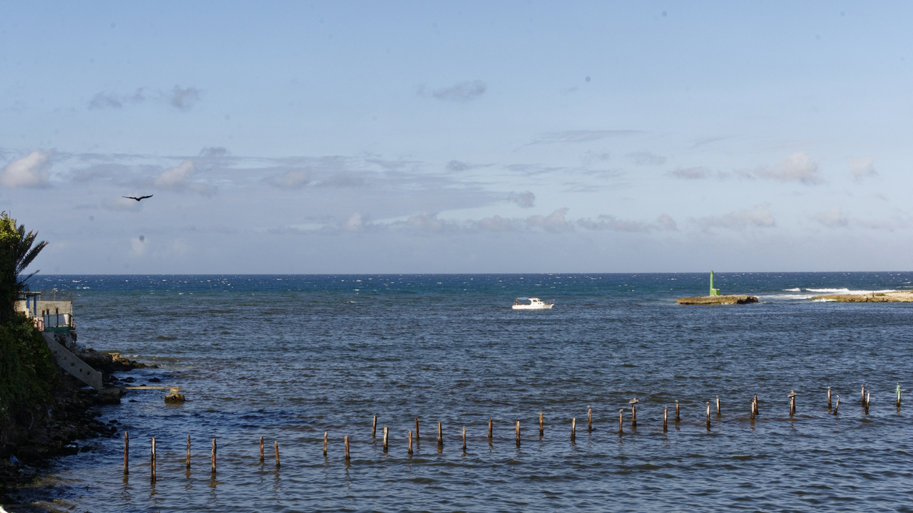 20190210-160344••Havana•La Habana•Cuba